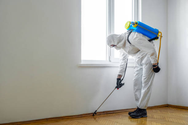 Best Bed Bug Extermination  in New Orleans, LA